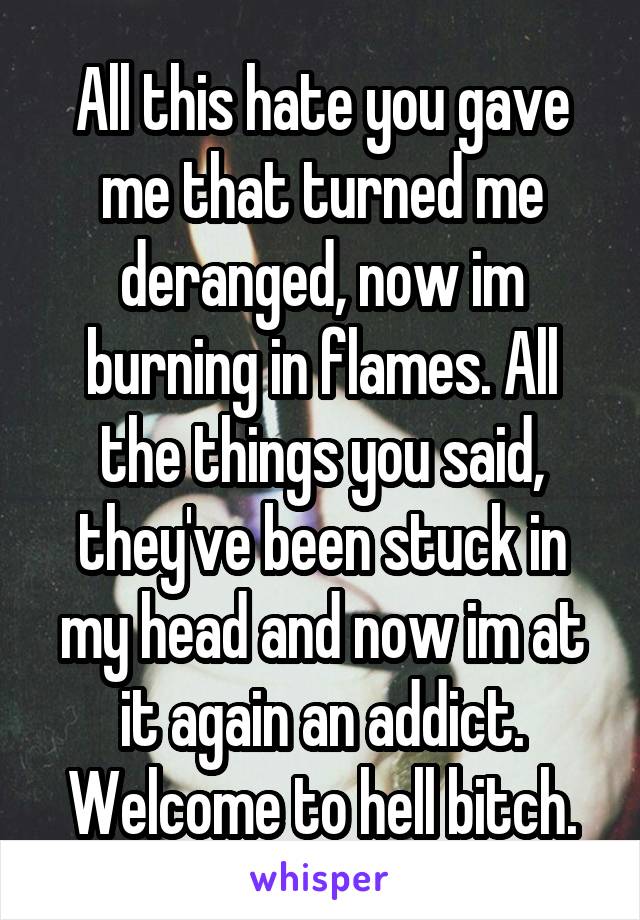 All this hate you gave me that turned me deranged, now im burning in flames. All the things you said, they've been stuck in my head and now im at it again an addict. Welcome to hell bitch.