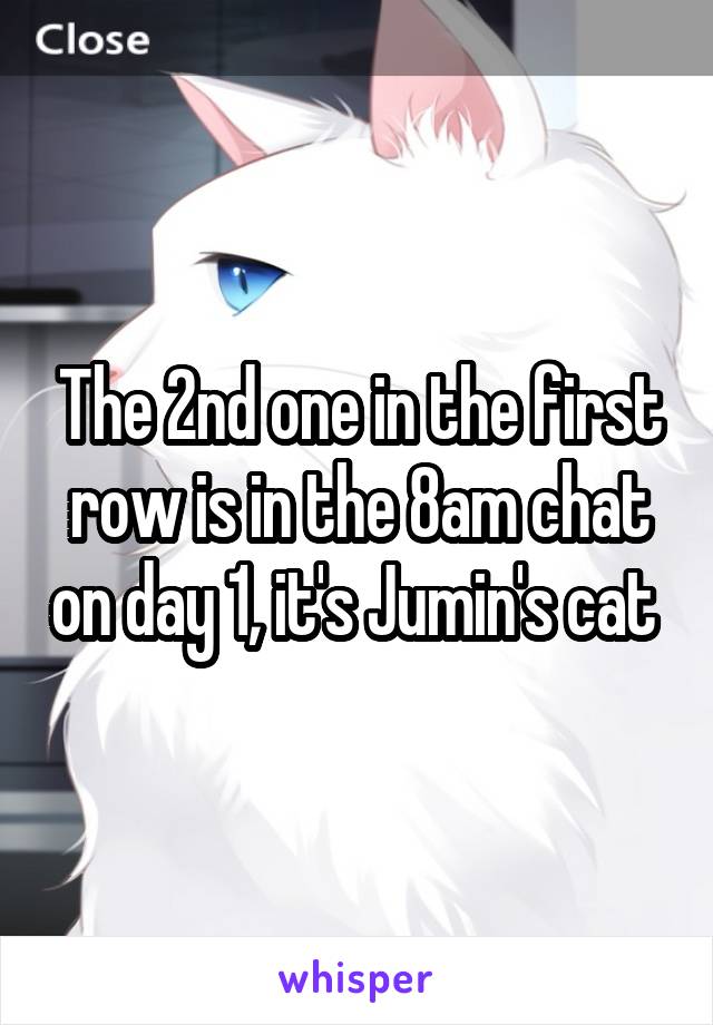 The 2nd one in the first row is in the 8am chat on day 1, it's Jumin's cat 