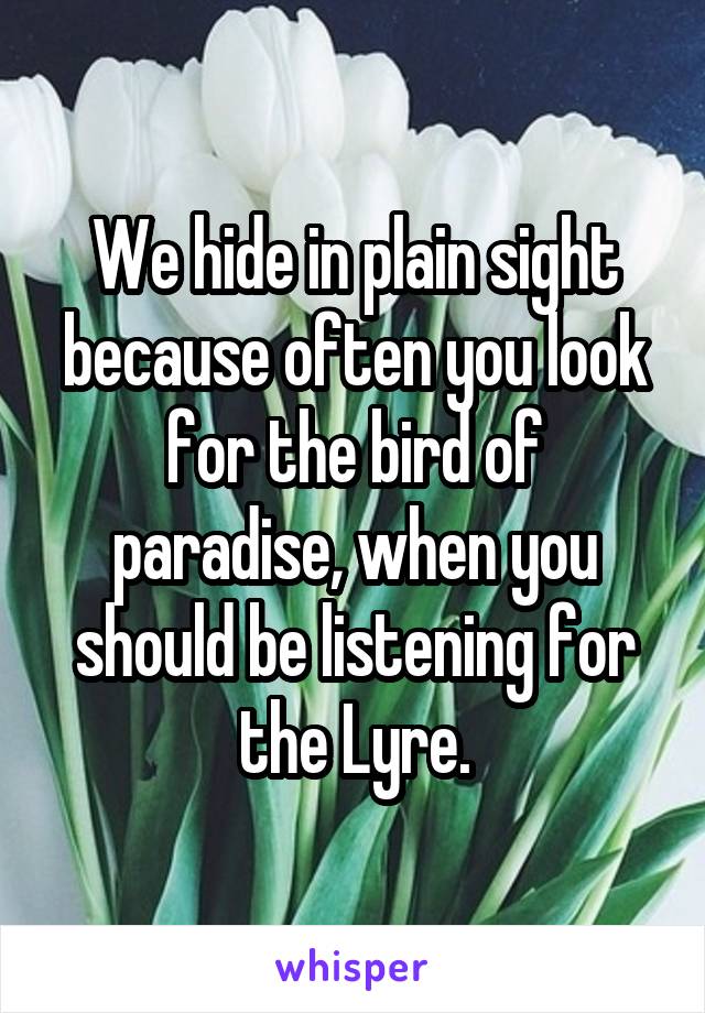 We hide in plain sight because often you look for the bird of paradise, when you should be listening for the Lyre.