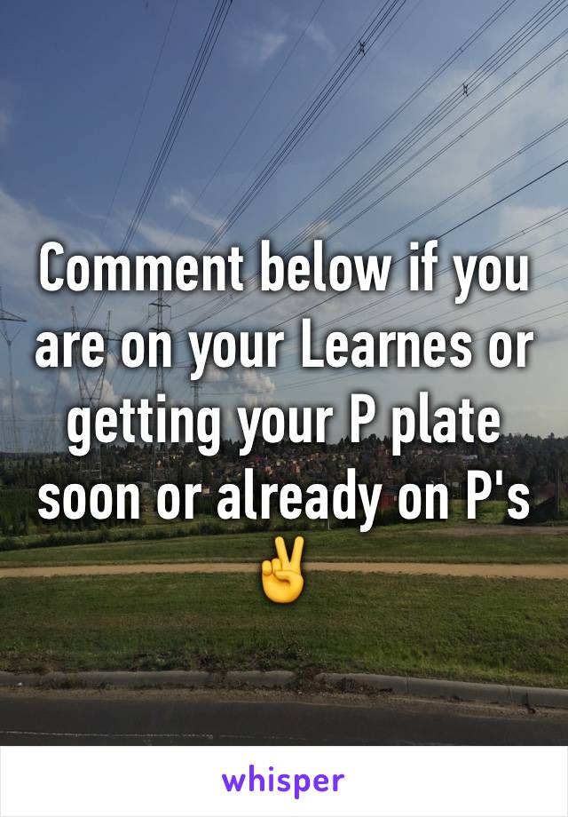 Comment below if you are on your Learnes or getting your P plate soon or already on P's ✌️️