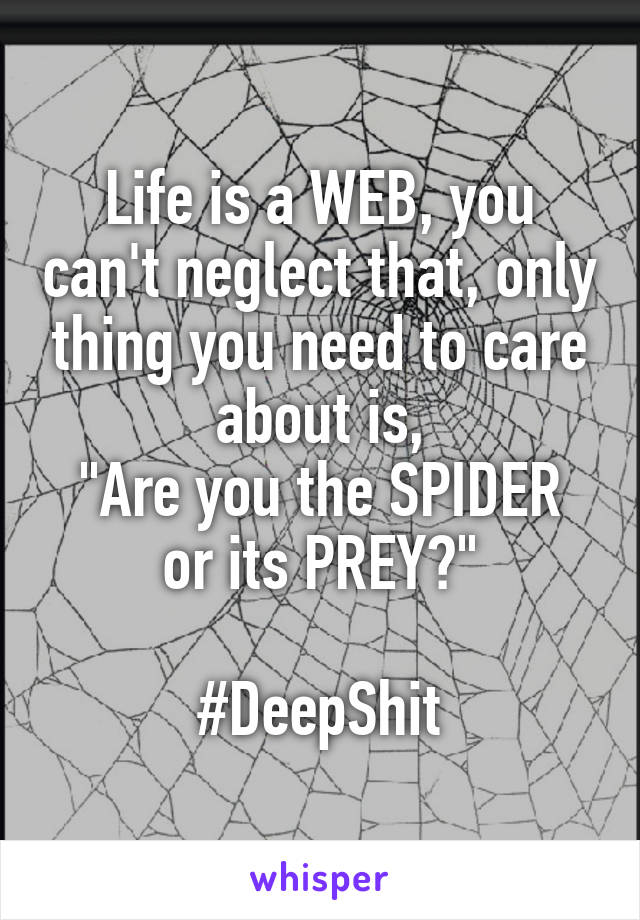 Life is a WEB, you can't neglect that, only thing you need to care about is,
"Are you the SPIDER or its PREY?"

#DeepShit