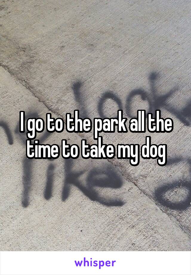 I go to the park all the time to take my dog
