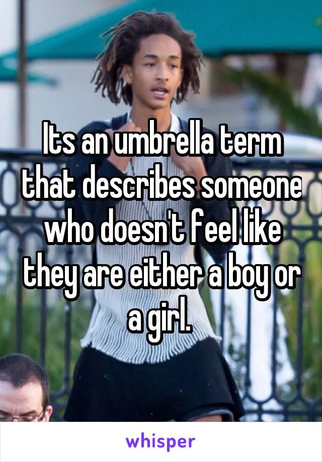 Its an umbrella term that describes someone who doesn't feel like they are either a boy or a girl. 