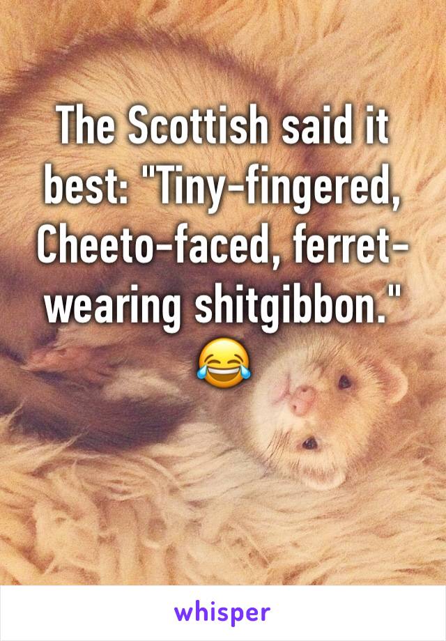 The Scottish said it best: "Tiny-fingered, Cheeto-faced, ferret-wearing shitgibbon." 😂