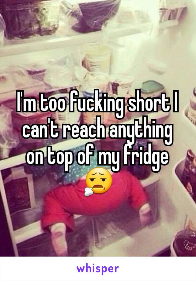 I'm too fucking short I can't reach anything on top of my fridge 😧