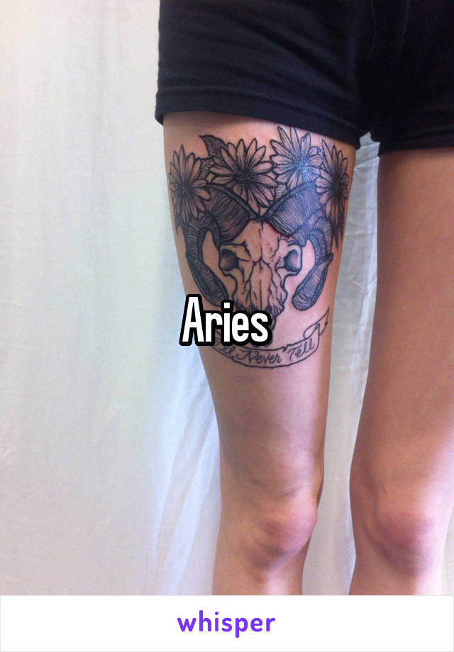 Aries 