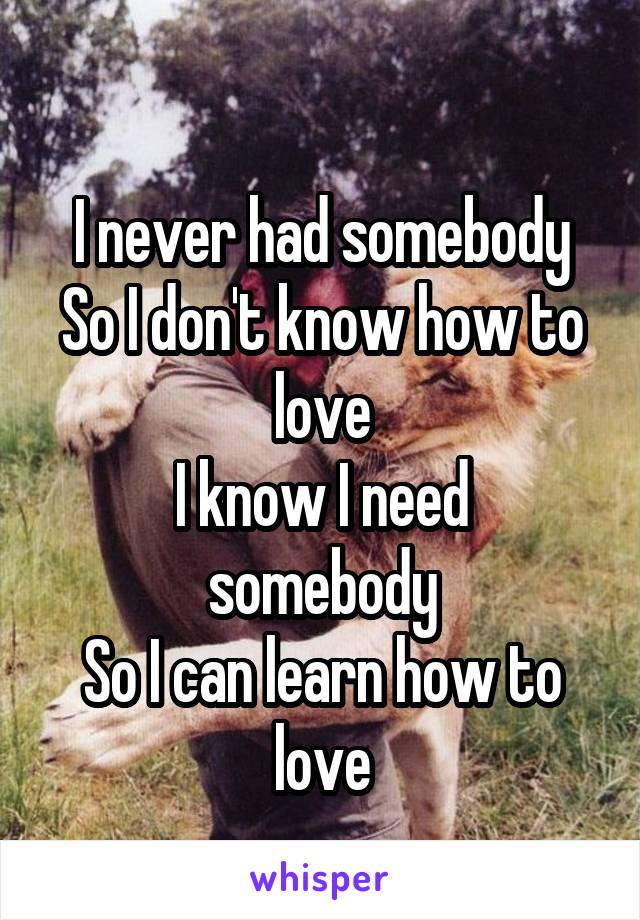 
I never had somebody
So I don't know how to love
I know I need somebody
So I can learn how to love
