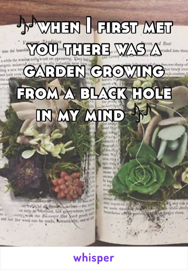 🎶when I first met you there was a garden growing from a black hole in my mind 🎶