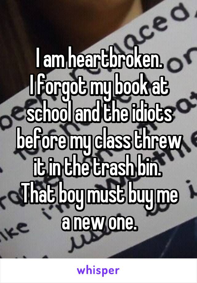 I am heartbroken.
I forgot my book at school and the idiots before my class threw it in the trash bin. 
That boy must buy me a new one.