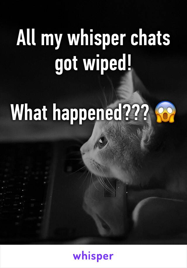 All my whisper chats got wiped! 

What happened??? 😱
