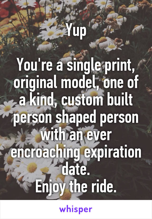 Yup

You're a single print, original model, one of a kind, custom built person shaped person with an ever encroaching expiration date.
Enjoy the ride.