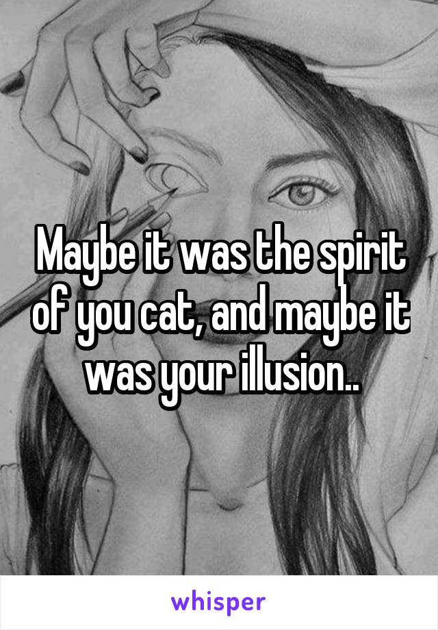 Maybe it was the spirit of you cat, and maybe it was your illusion..