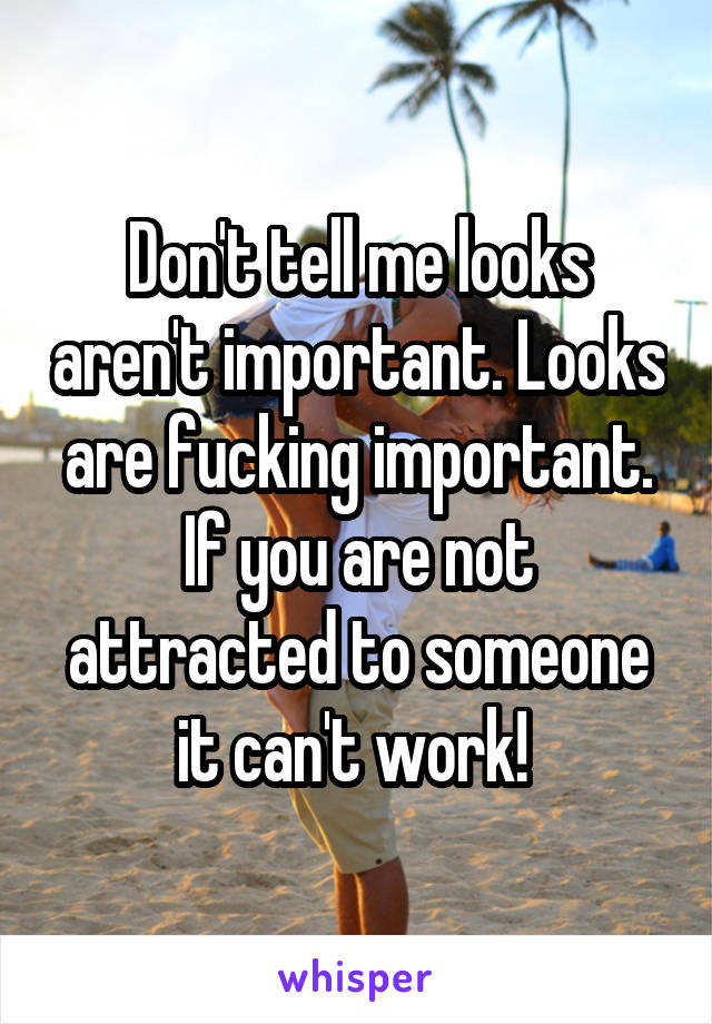 Don't tell me looks aren't important. Looks are fucking important. If you are not attracted to someone it can't work! 