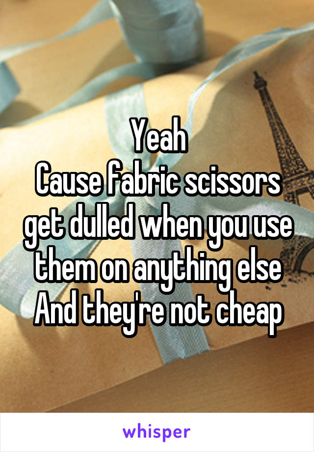Yeah
Cause fabric scissors get dulled when you use them on anything else
And they're not cheap