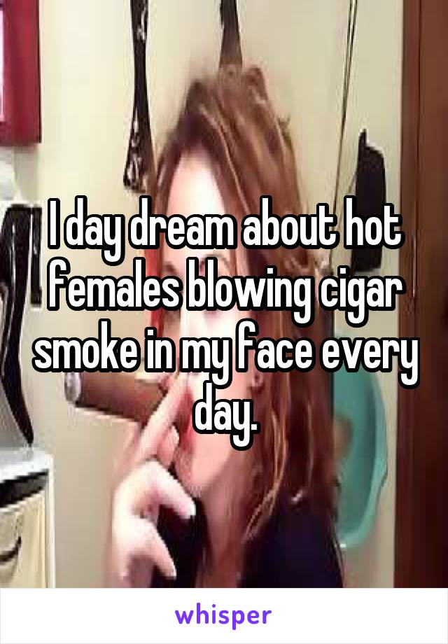 I day dream about hot females blowing cigar smoke in my face every day.