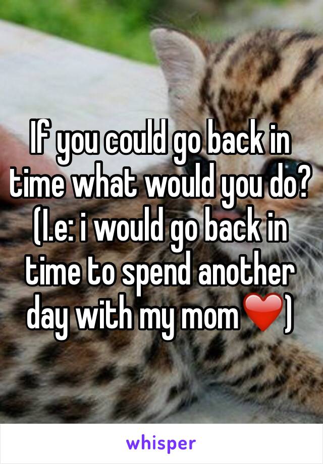 If you could go back in time what would you do? (I.e: i would go back in time to spend another day with my mom❤️)