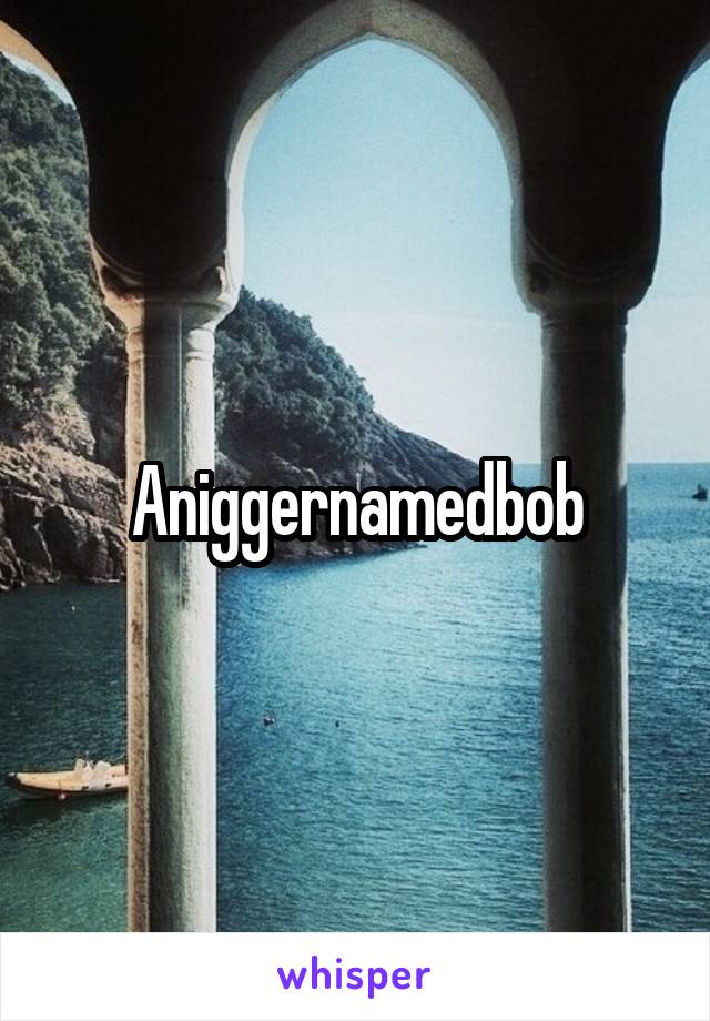Aniggernamedbob