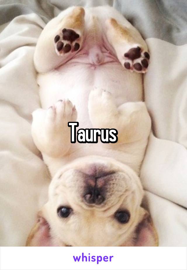 Taurus 