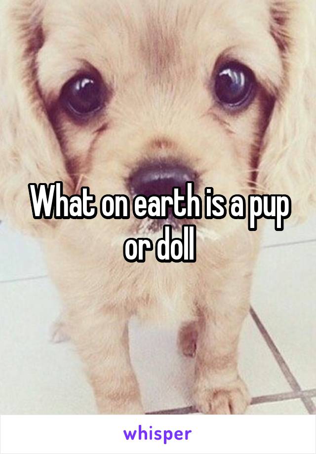 What on earth is a pup or doll