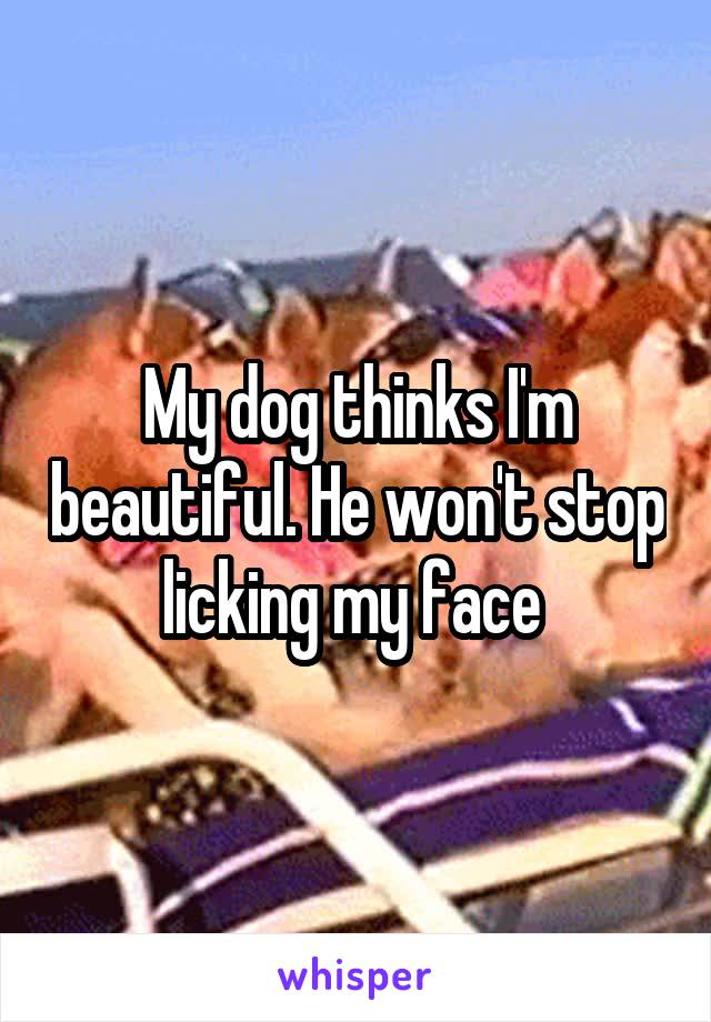 My dog thinks I'm beautiful. He won't stop licking my face 