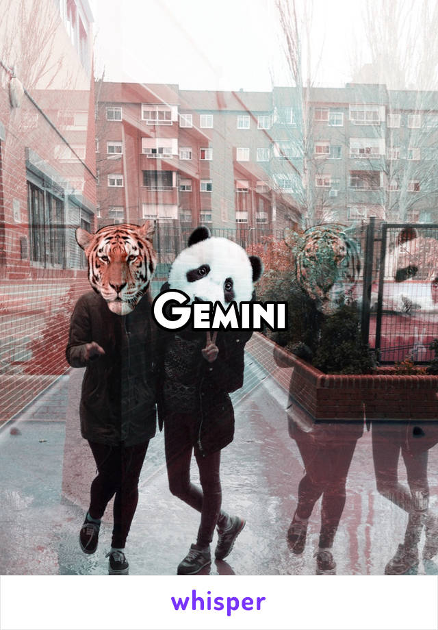 Gemini