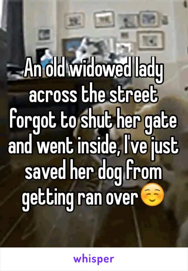 An old widowed lady across the street forgot to shut her gate and went inside, I've just saved her dog from getting ran over☺️