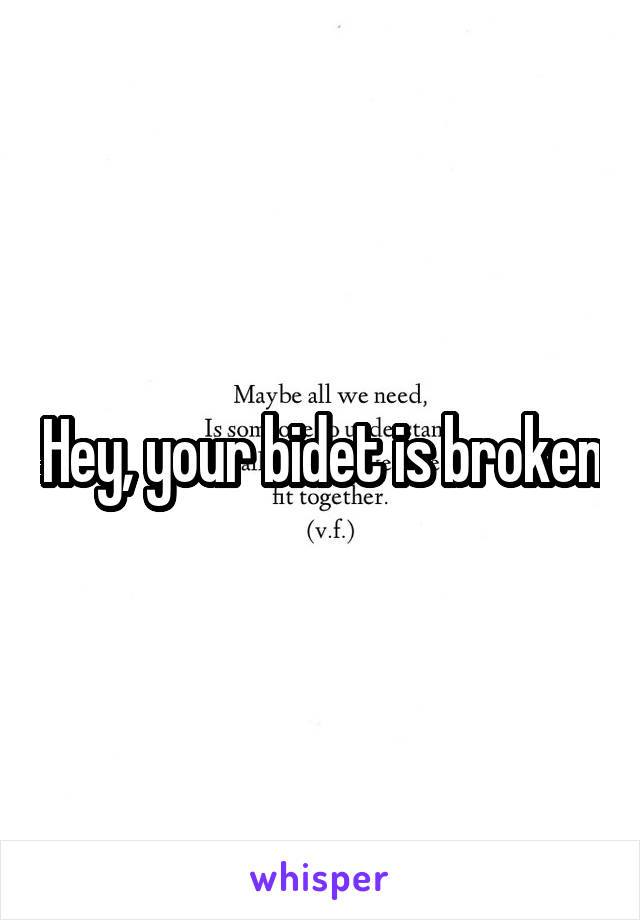 Hey, your bidet is broken