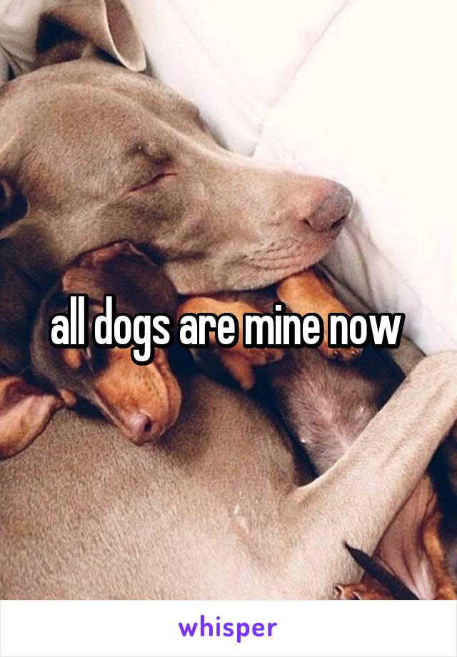 all dogs are mine now 