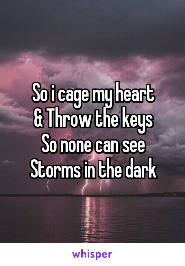 So i cage my heart
& Throw the keys
So none can see
Storms in the dark