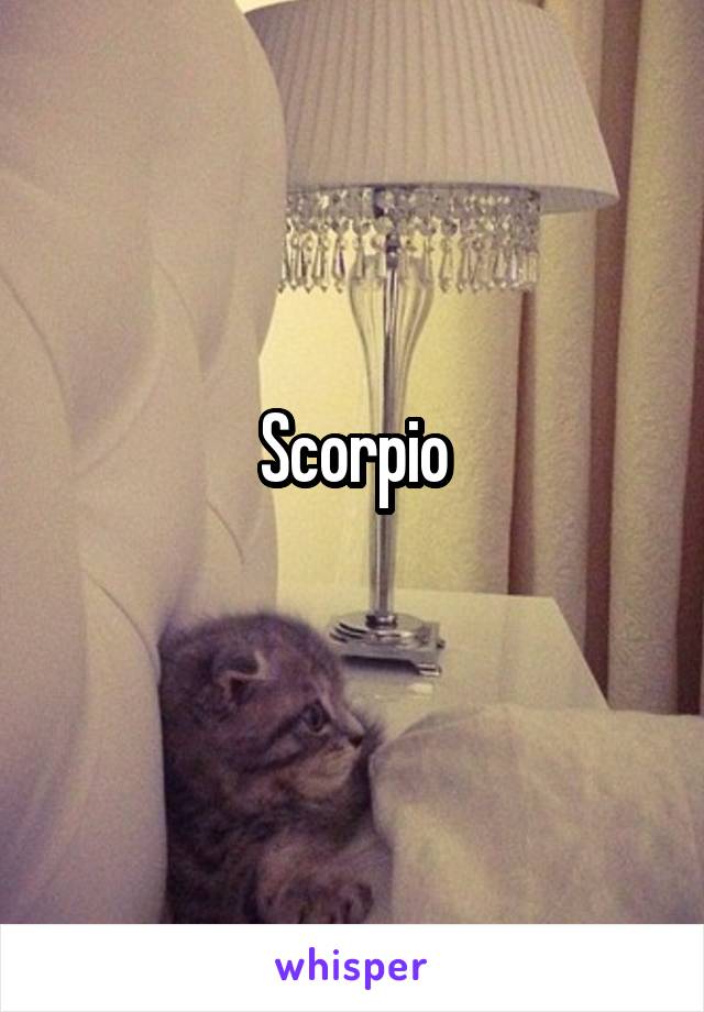 Scorpio
