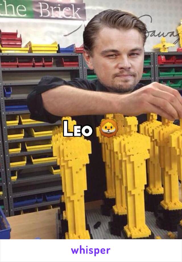 Leo 🦁