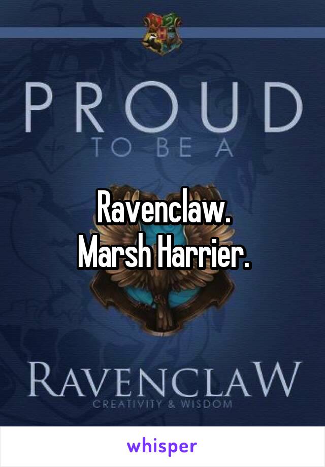 Ravenclaw.
Marsh Harrier.