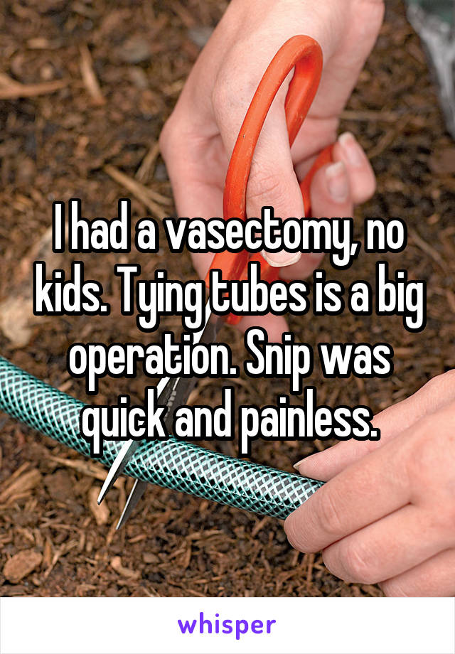 I had a vasectomy, no kids. Tying tubes is a big operation. Snip was quick and painless.