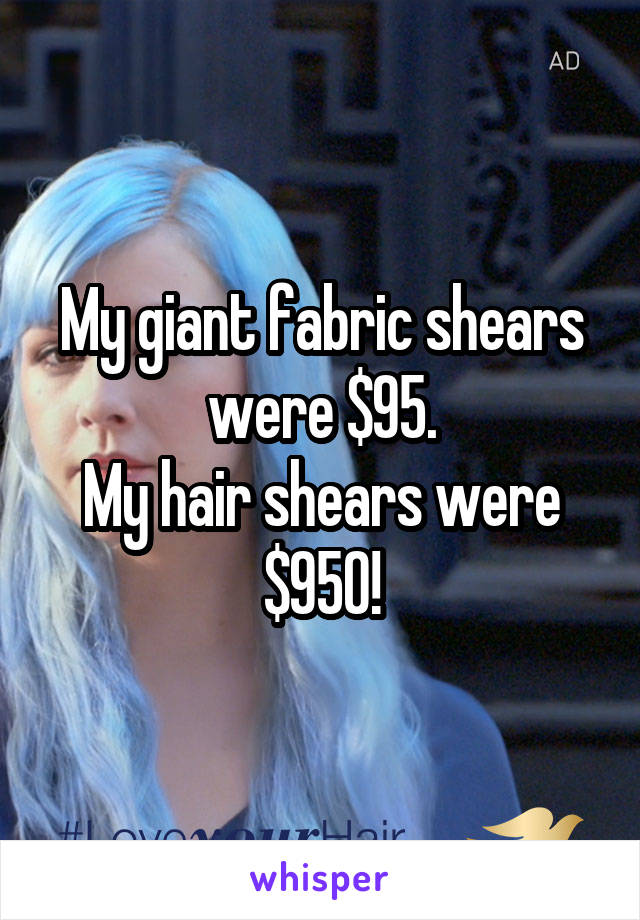 My giant fabric shears were $95.
My hair shears were $950!