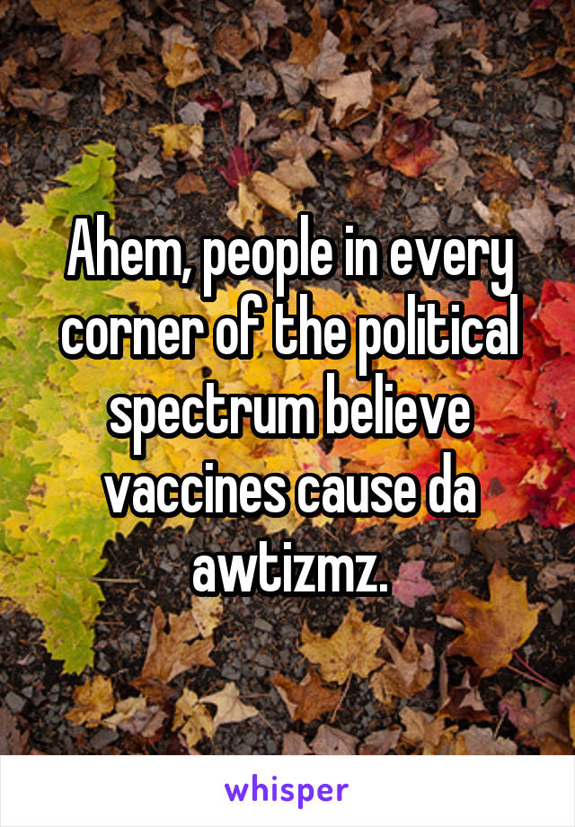 Ahem, people in every corner of the political spectrum believe vaccines cause da awtizmz.