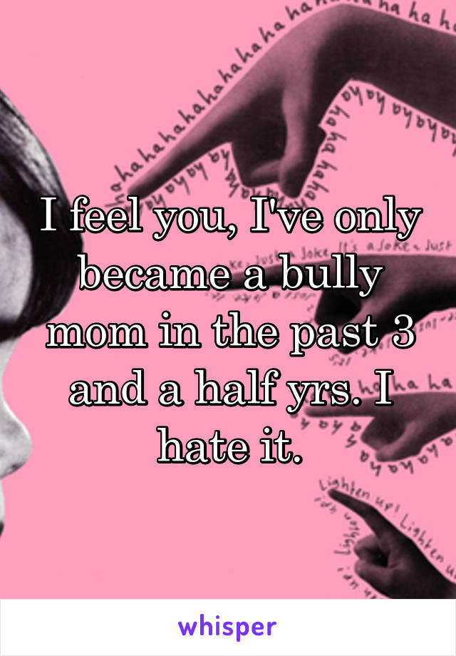 I feel you, I've only became a bully mom in the past 3 and a half yrs. I hate it.