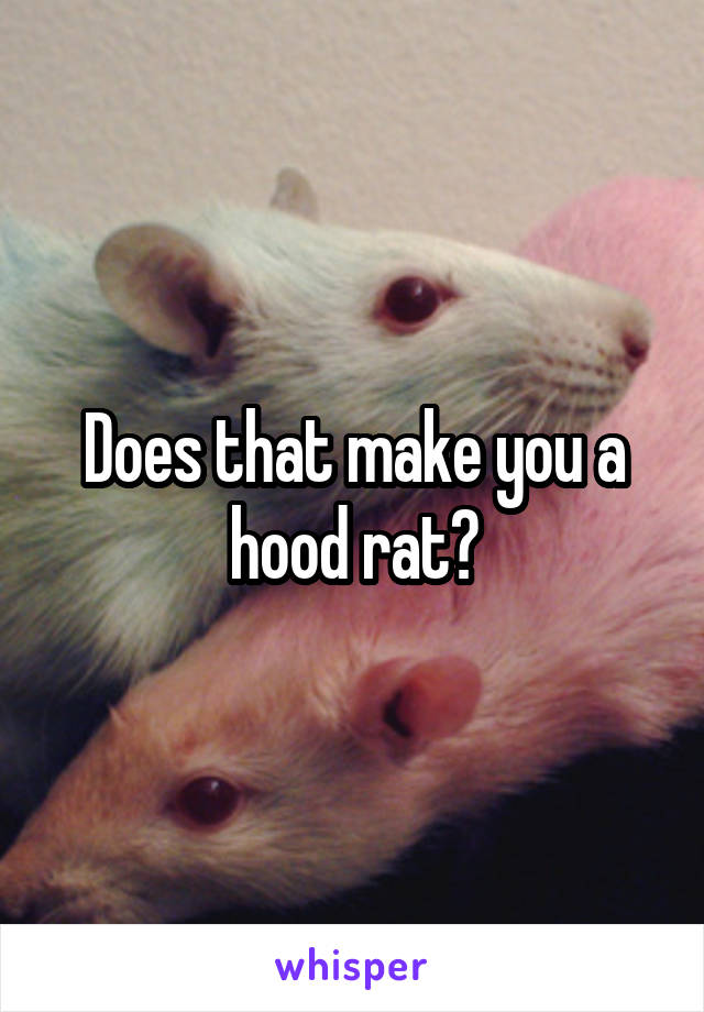 Does that make you a hood rat?
