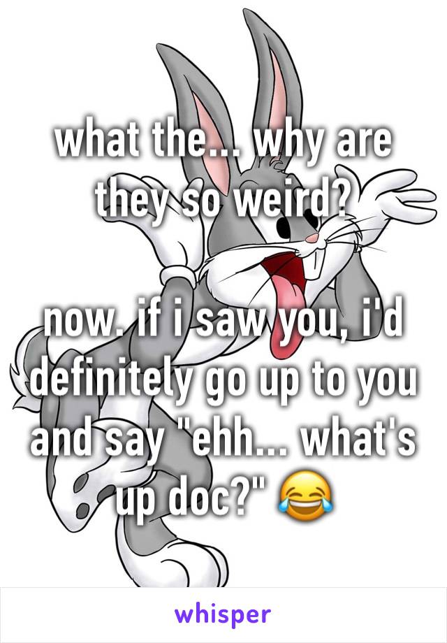 what the... why are they so weird?

now. if i saw you, i'd definitely go up to you and say "ehh... what's up doc?" 😂 