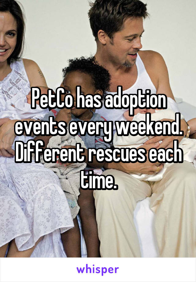 PetCo has adoption events every weekend. Different rescues each time.
