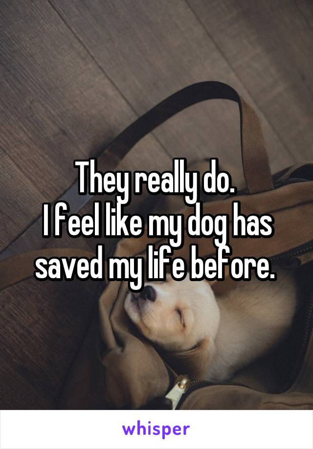 They really do. 
I feel like my dog has saved my life before. 