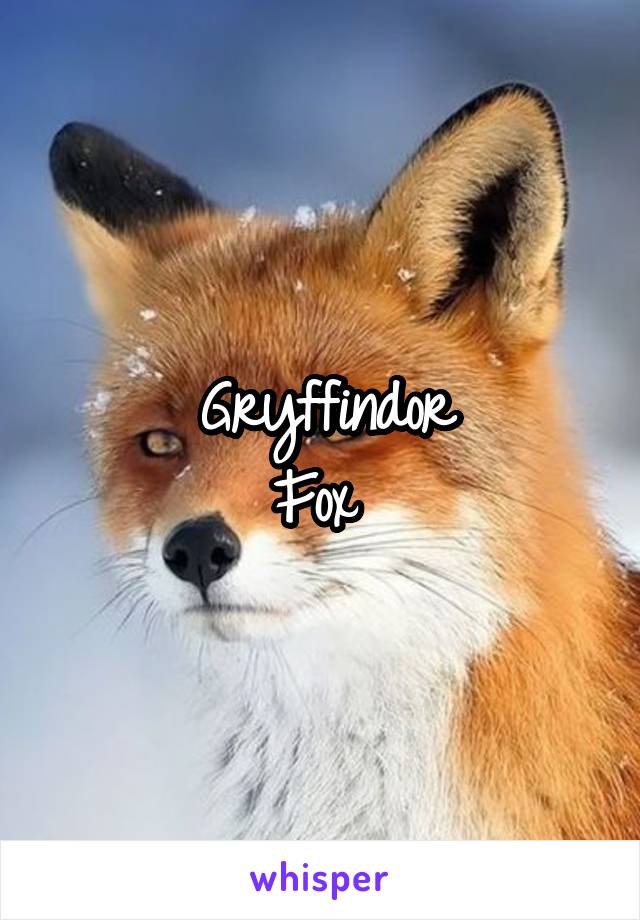 Gryffindor
Fox 