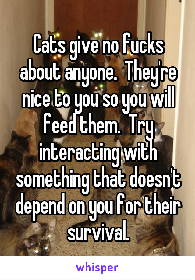 Cats give no fucks about anyone.  They're nice to you so you will feed them.  Try interacting with something that doesn't depend on you for their survival.