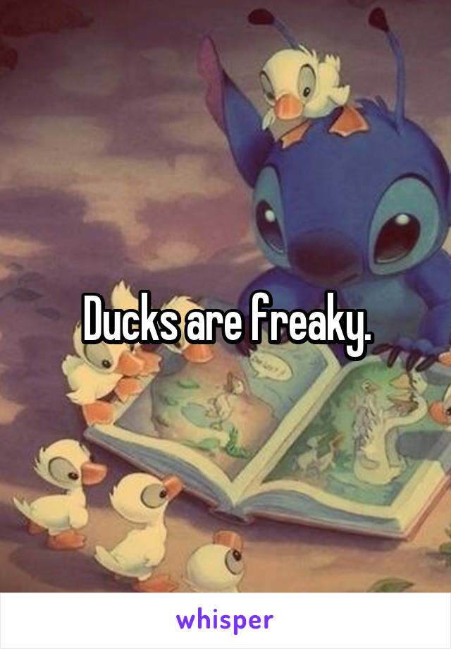 Ducks are freaky.
