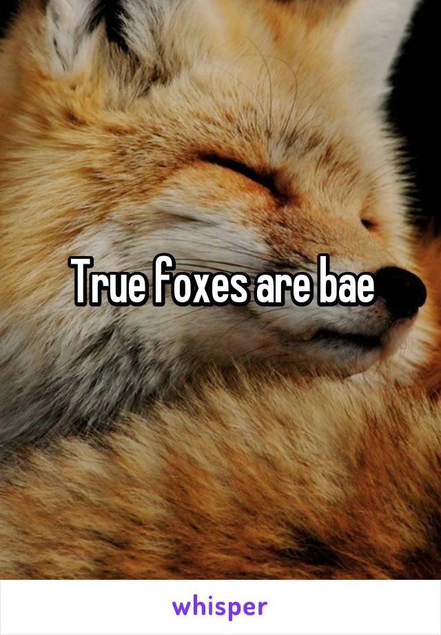 True foxes are bae
