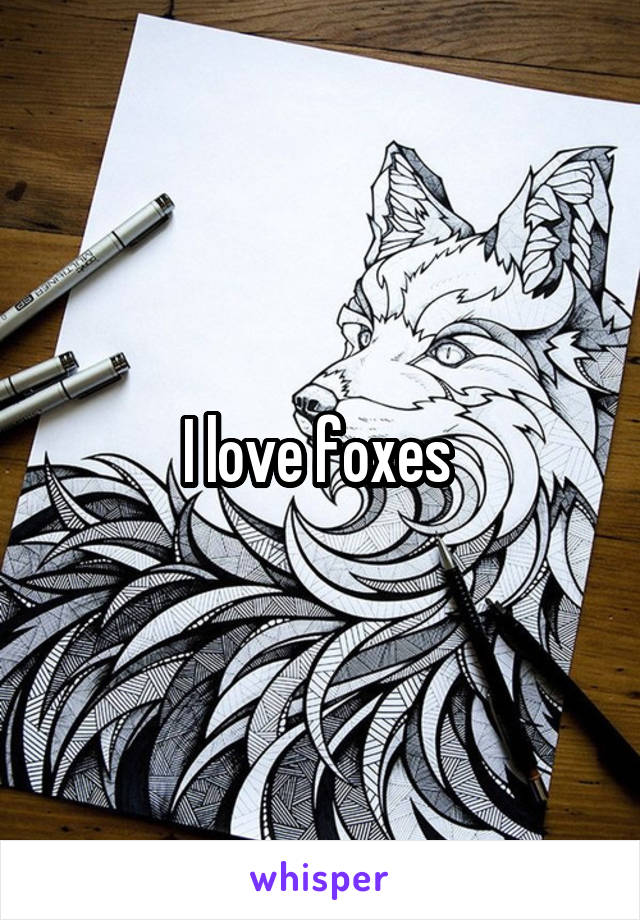 I love foxes 