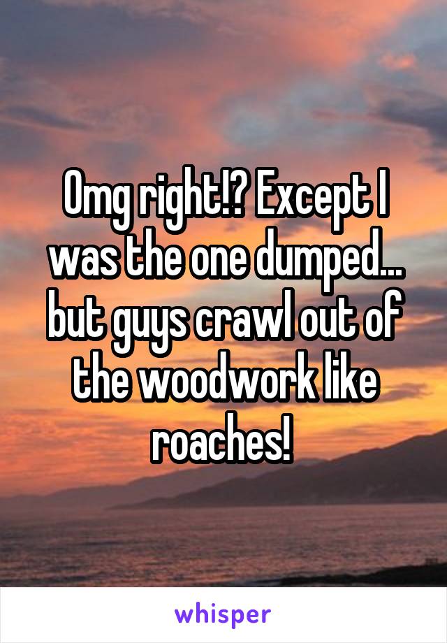 Omg right!? Except I was the one dumped... but guys crawl out of the woodwork like roaches! 