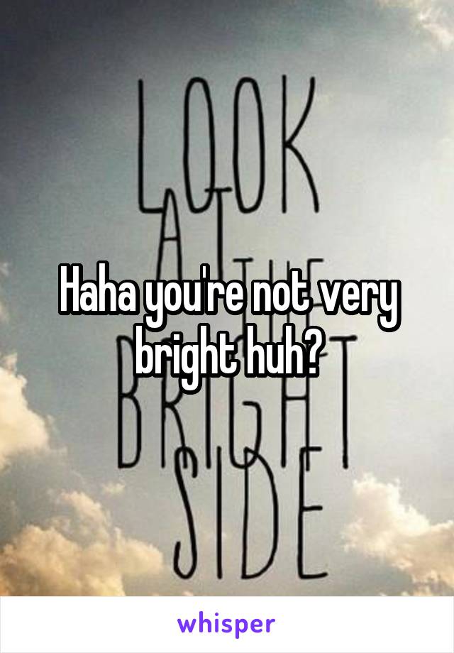 Haha you're not very bright huh?