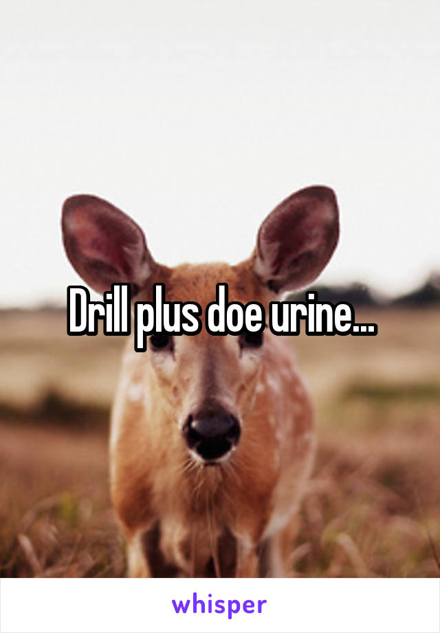 Drill plus doe urine...