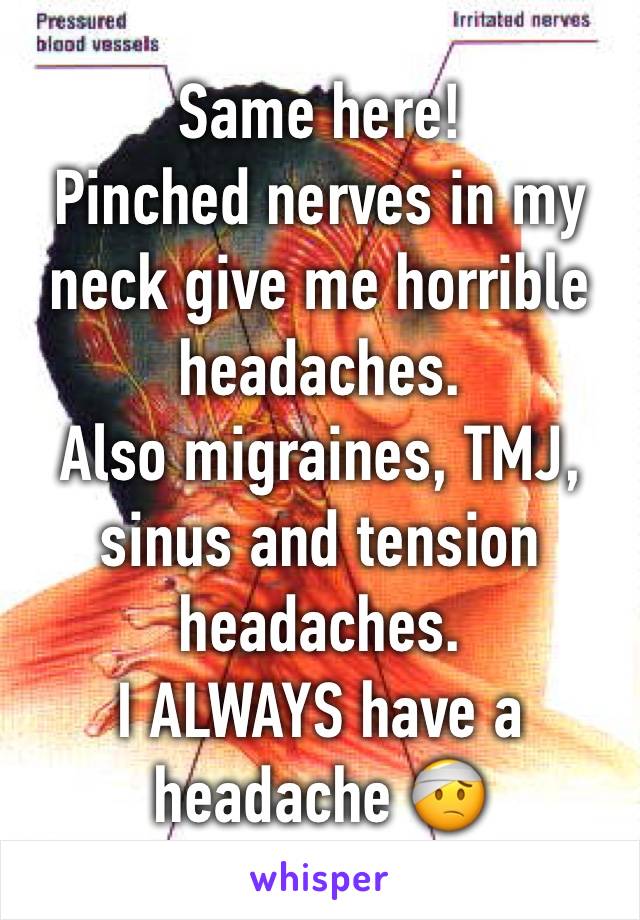 Same here!
Pinched nerves in my neck give me horrible headaches.
Also migraines, TMJ, sinus and tension headaches.
I ALWAYS have a headache 🤕 