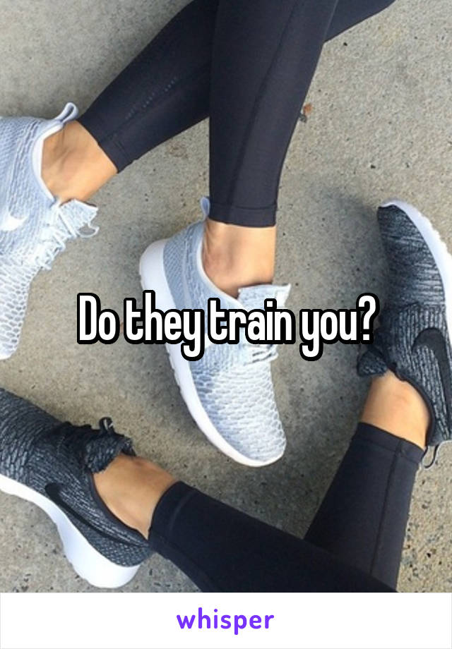 Do they train you?